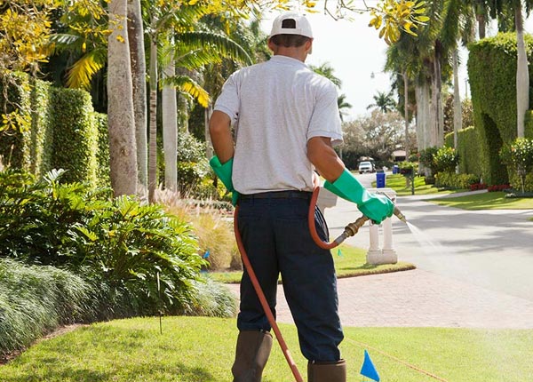 About Cordele GA Pest Control Pros